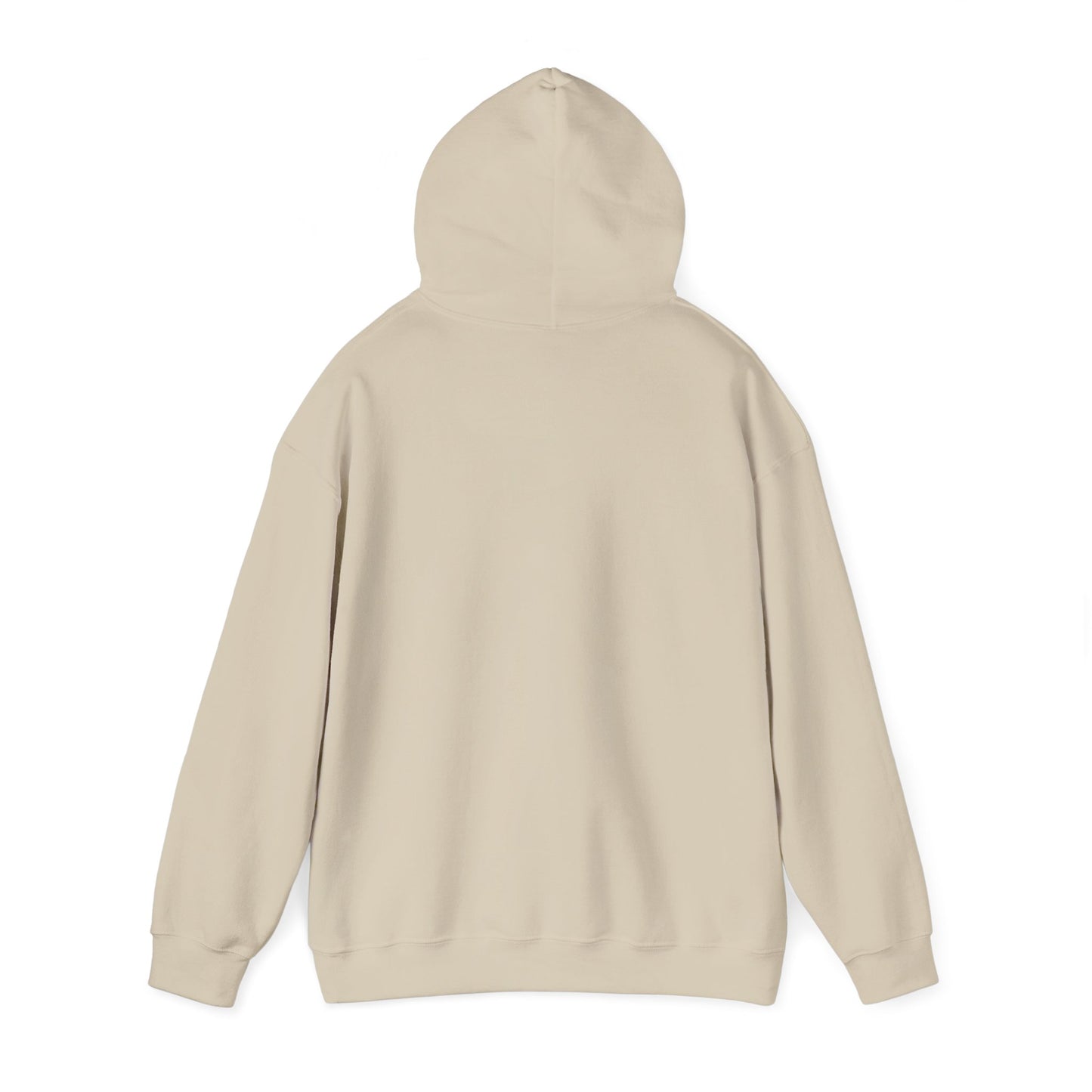 Land of 10,000 Lakes Minnesota State Outline Hoodie | Courage