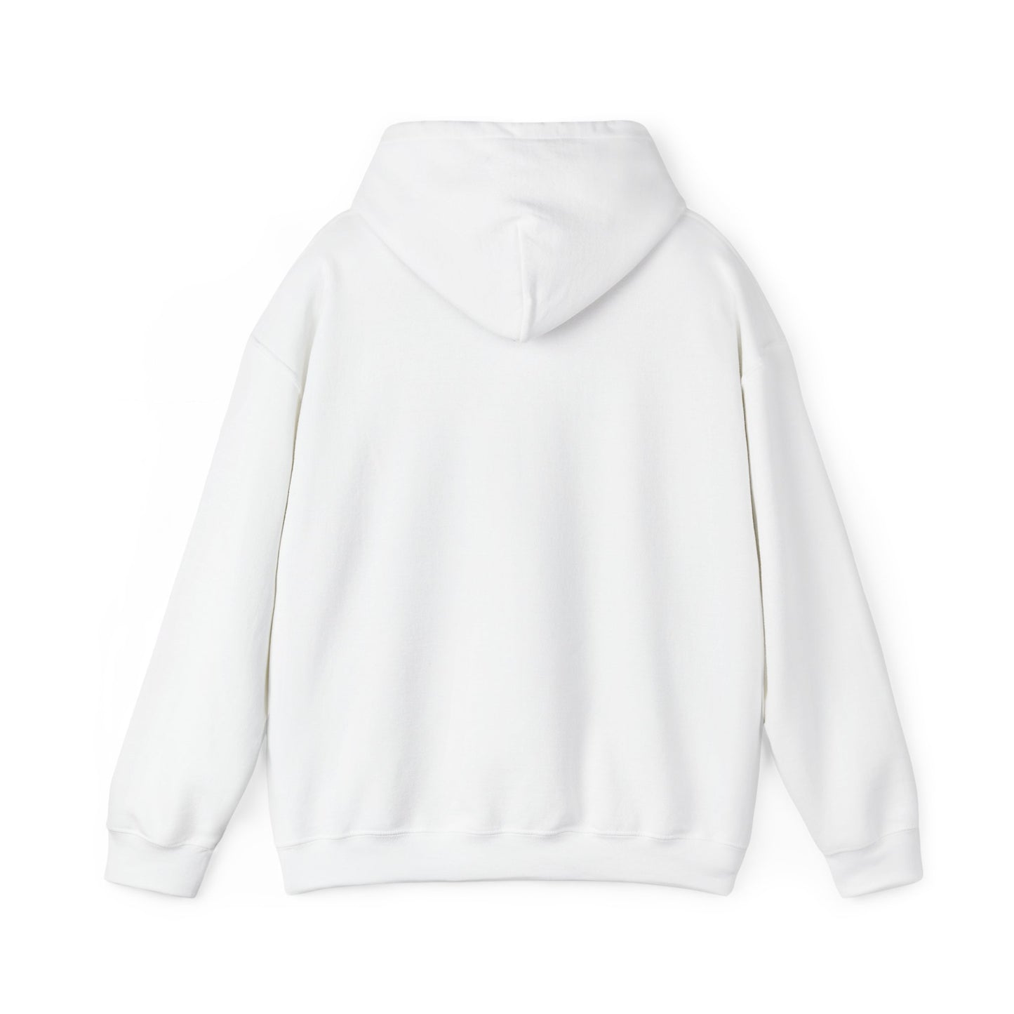 Land of 10,000 Lakes Minnesota State Outline Hoodie | Courage
