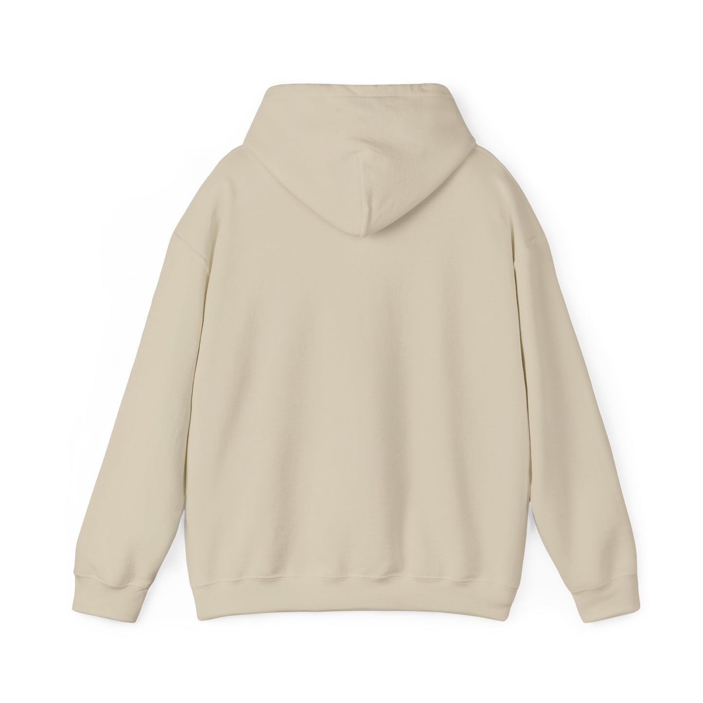 Land of 10,000 Lakes Minnesota State Outline Hoodie | Courage