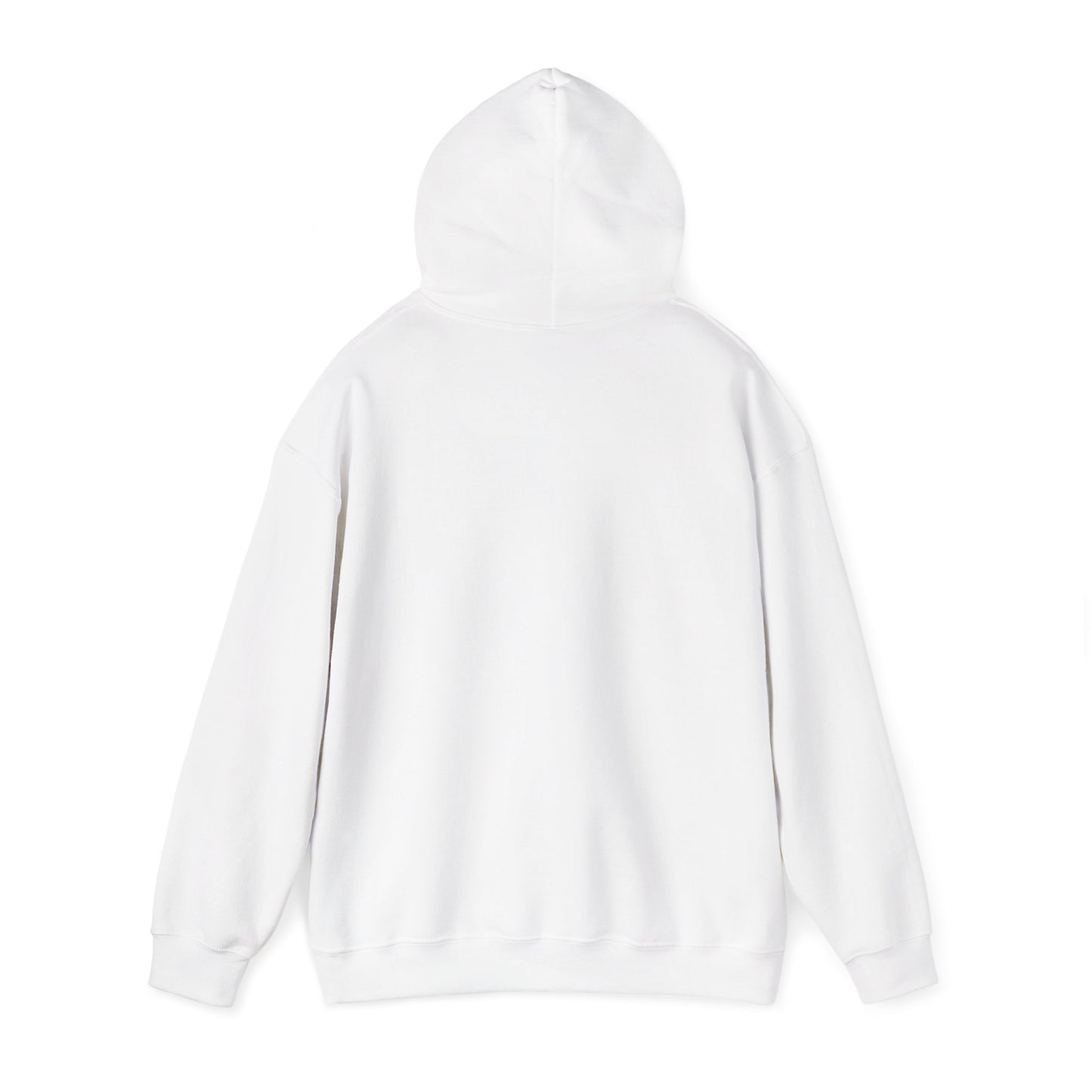Land of 10,000 Lakes Minnesota State Outline Hoodie | Courage