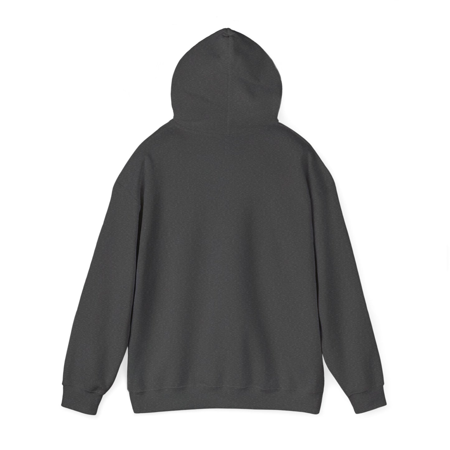 Land of 10,000 Lakes Minnesota State Outline Hoodie | Courage