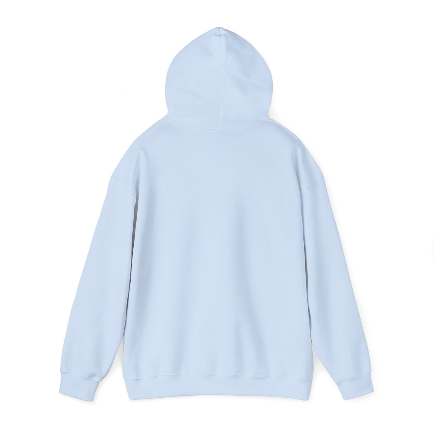 Land of 10,000 Lakes Minnesota State Outline Hoodie | Courage