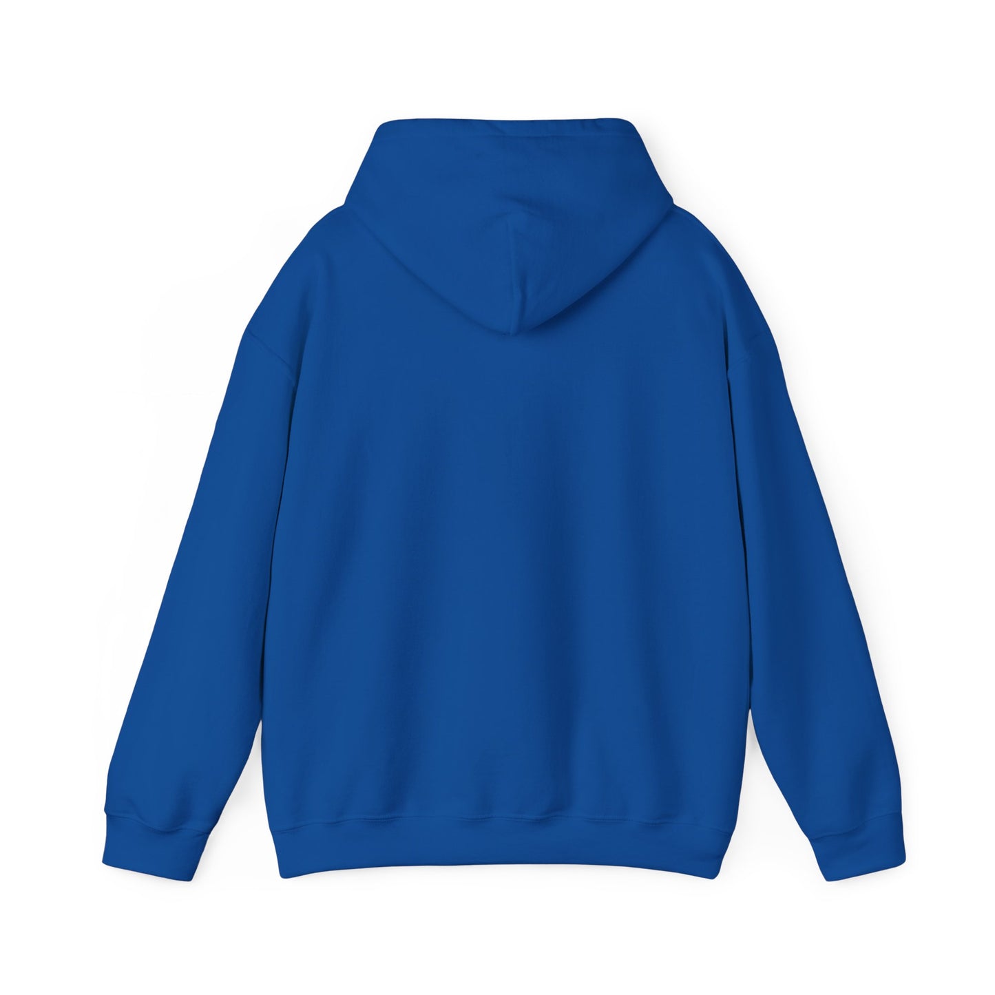 Land of 10,000 Lakes Minnesota State Outline Hoodie | Courage