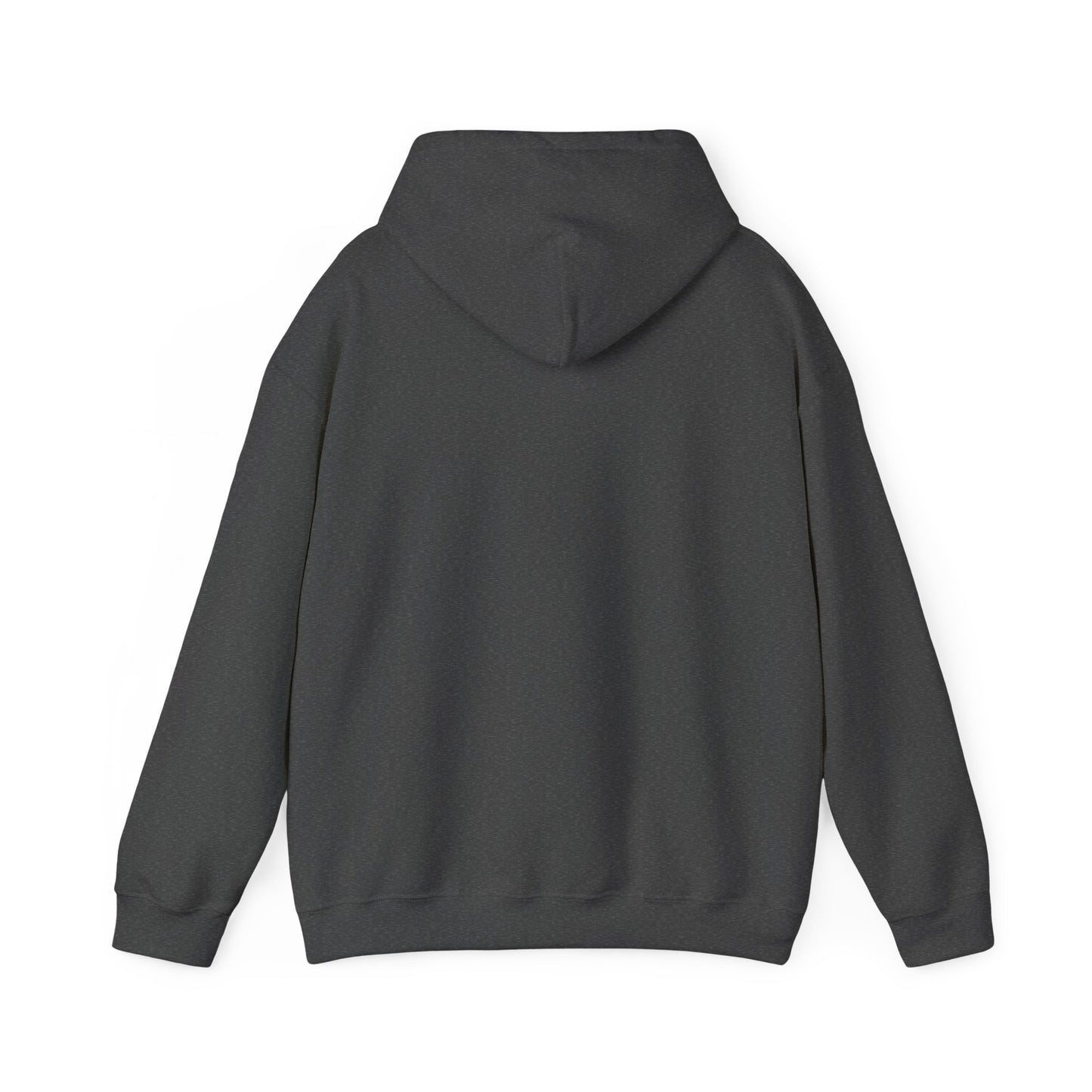 Land of 10,000 Lakes Minnesota State Outline Hoodie | Courage