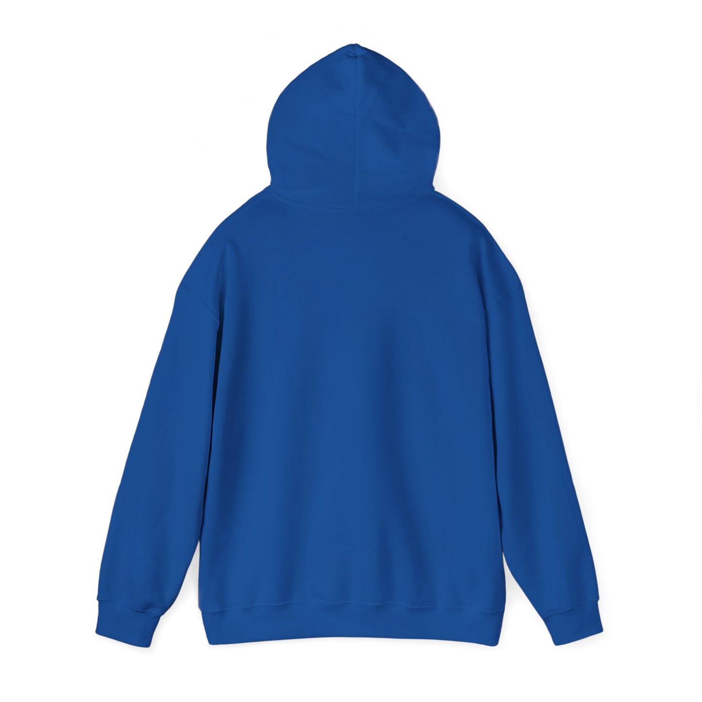 Land of 10,000 Lakes Minnesota State Outline Hoodie | Courage