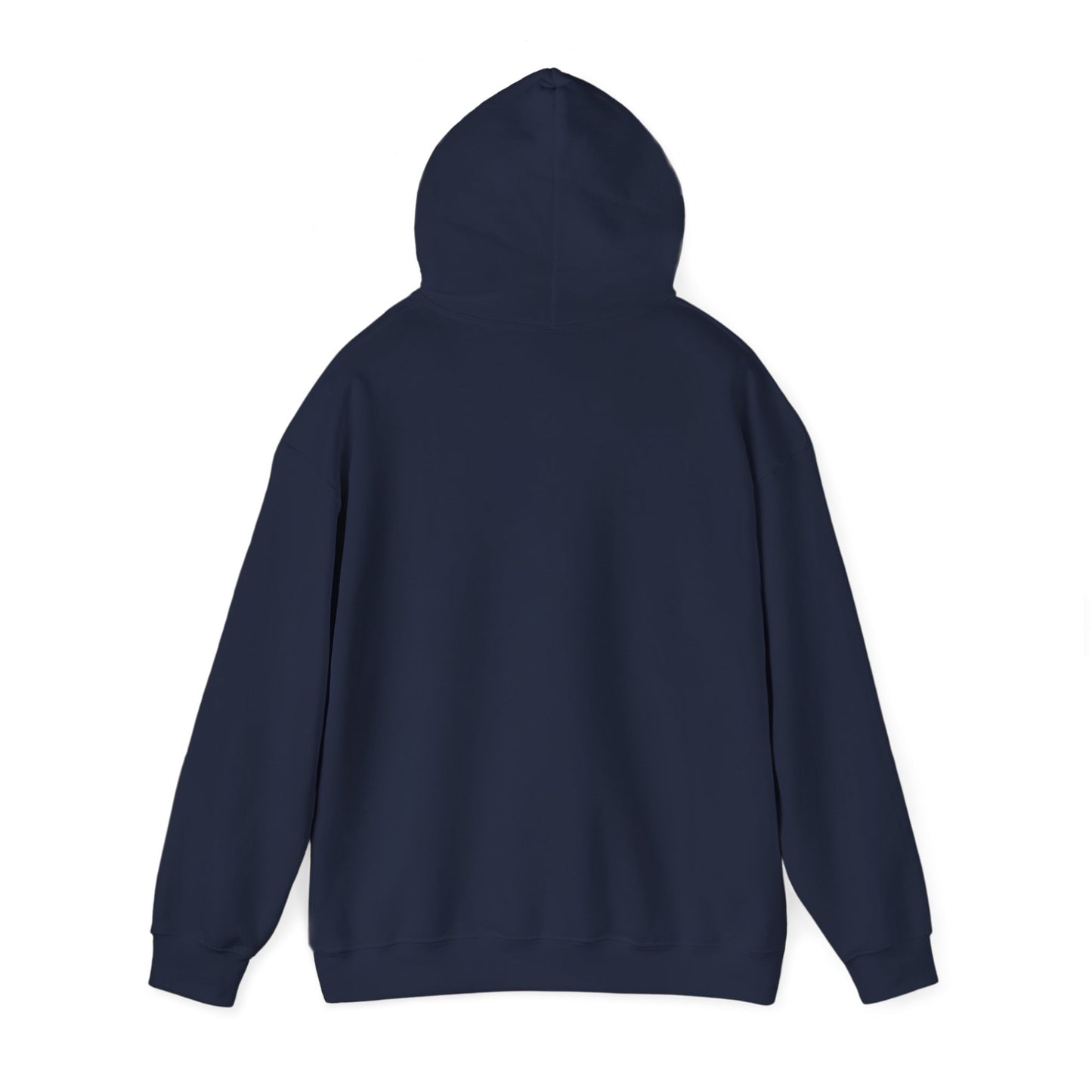 Land of 10,000 Lakes Minnesota State Outline Hoodie | Courage