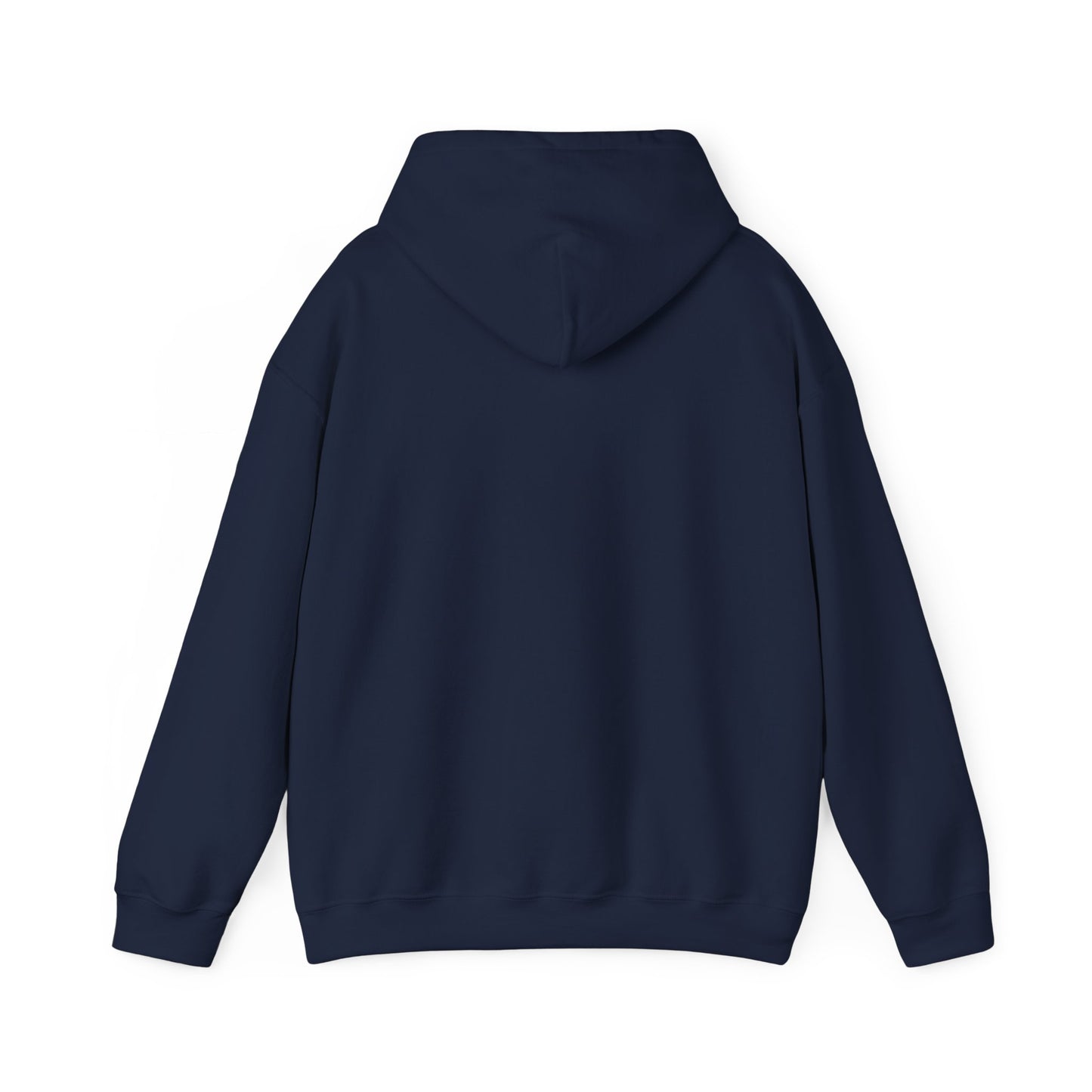 Land of 10,000 Lakes Minnesota State Outline Hoodie | Courage