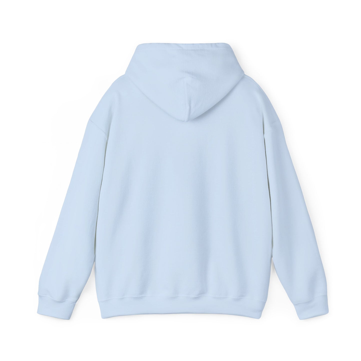 Land of 10,000 Lakes Minnesota State Outline Hoodie | Courage